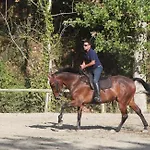 Feriegård Podere Calledro Narni