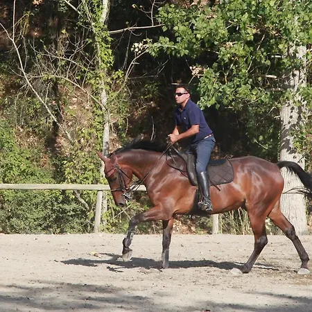 ファームステイ Podere Calledro ナルニ