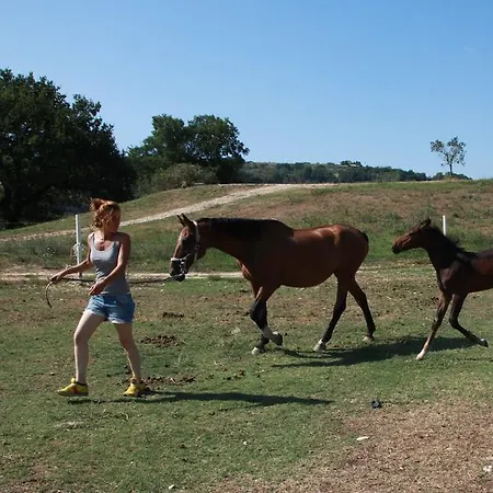 Podere Calledro Narni