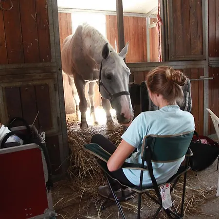 Bauernhof Podere Calledro *