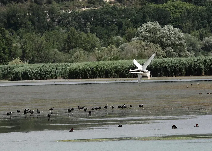 波德尔卡勒德罗农家乐