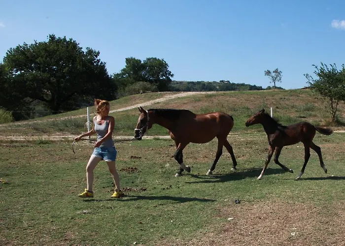 波德尔卡勒德罗农家乐 纳尔尼