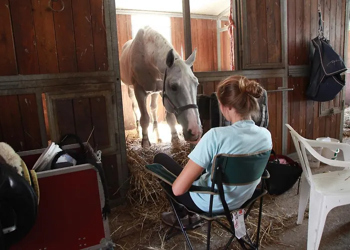 مزرعة للإقامة Podere Calledro *