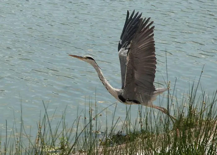 مزرعة للإقامة Podere Calledro