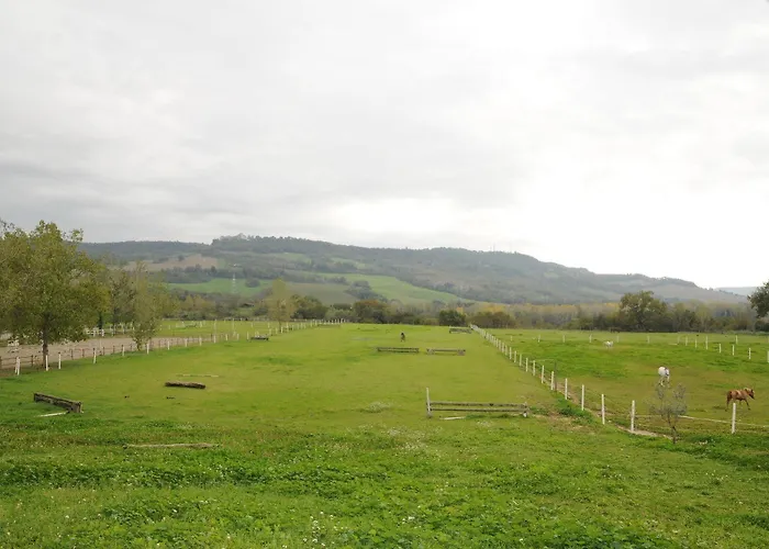 Podere Calledro * نارني